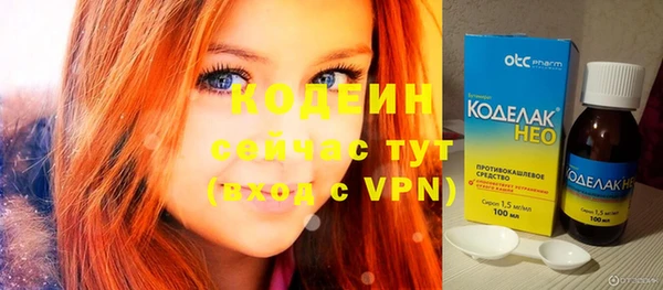 дживик Бородино